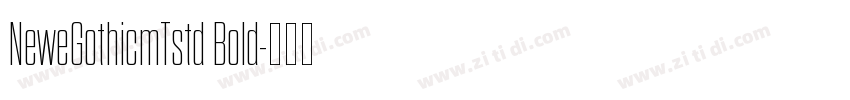 NeweGothicmTstd Bold字体转换